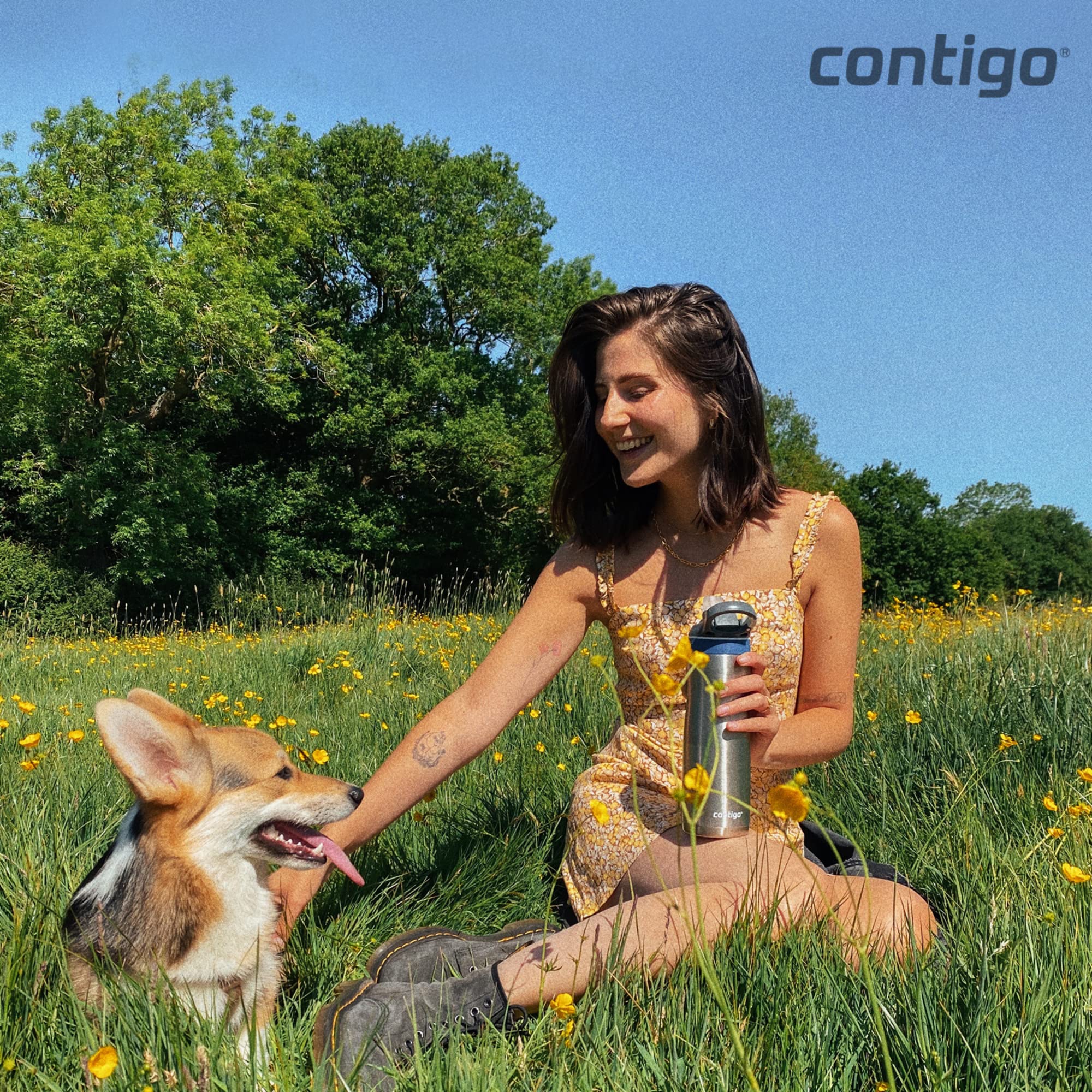 Contigo Ashland Chill, Bottiglia Unisex Adulto, Monaco, 590 ml - Image 2