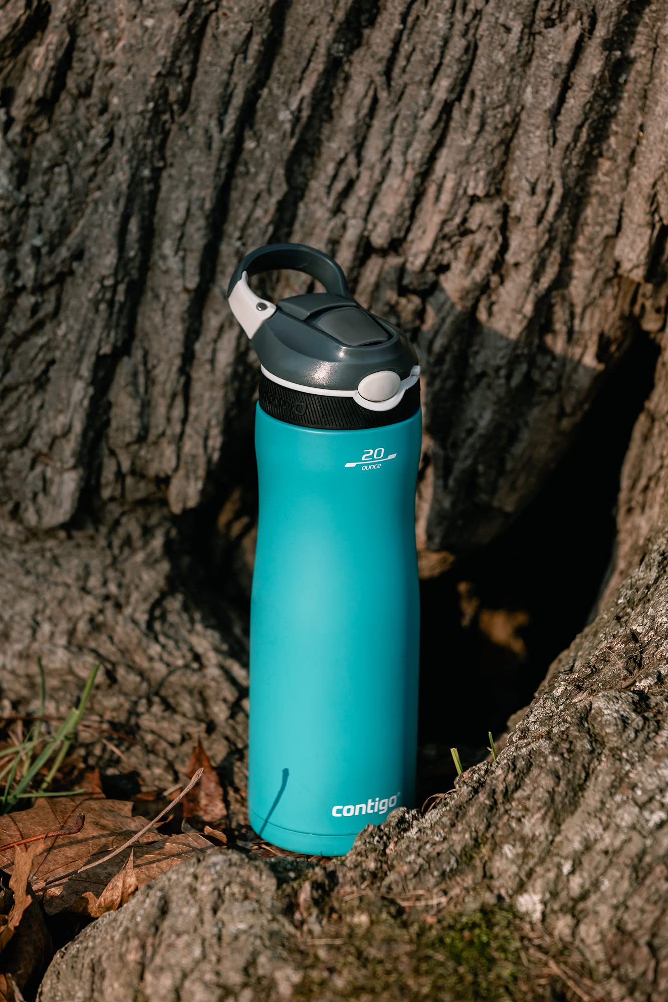 Contigo Bottiglia Acqua Ashland Chill Autoseal, 590ml, Borraccia Termica in Acciaio Inossidabile, con Cannuccia, priva di BPA, Bottiglia da Palestra a Tenuta Stagna - Image 3