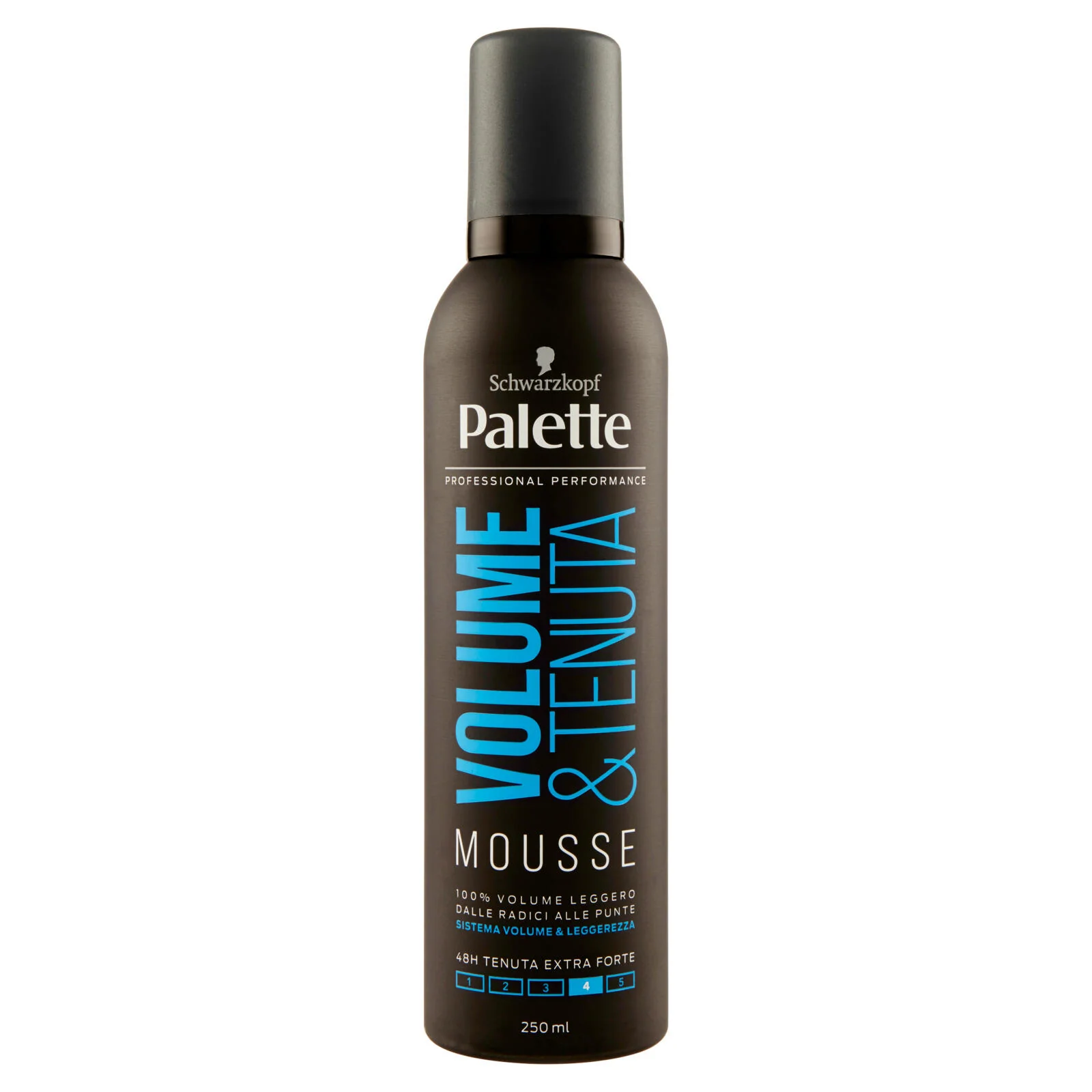 Palette Volume & Tenuta Mousse 250 ml