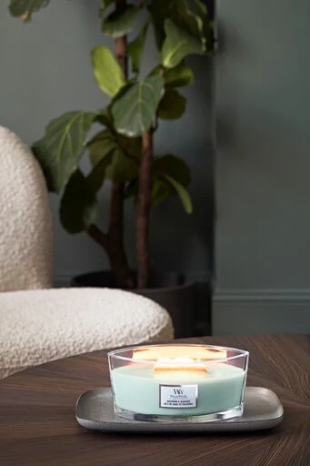 Woodwick - Candela Ellipse Sagewood & Seagrass - Image 3