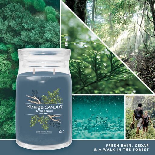 Yankee Candle Signature - Giara Grande Bayside Cedar - Image 3