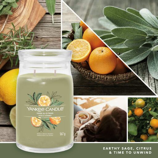 Yankee Candle Signature - Giara grande Sage & Citrus - Image 4